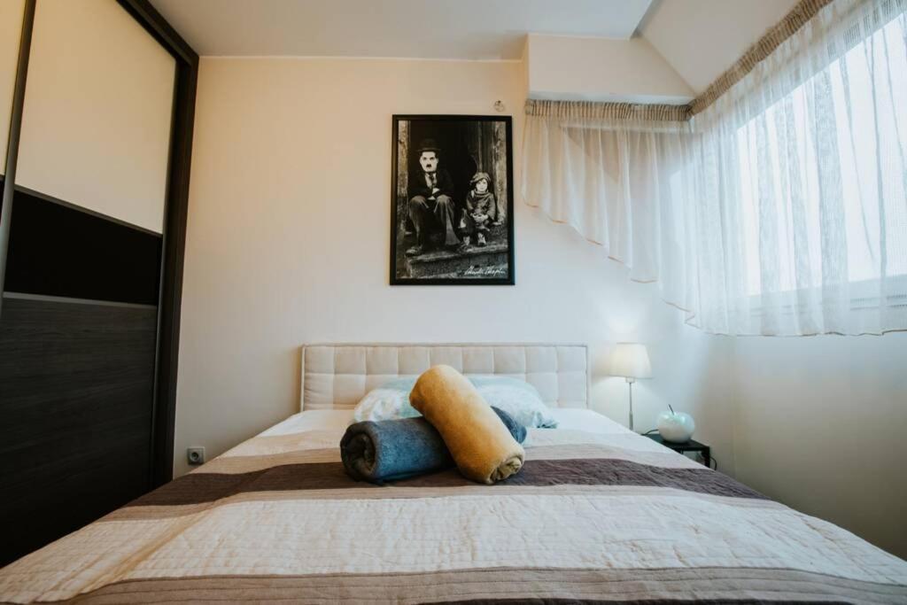 Nyugalom A Belvarosban Szeged Buitenkant foto